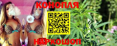 spice Лесосибирск