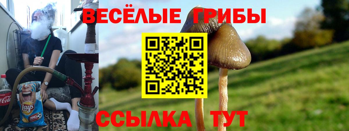 Галлюциногенные грибы Cubensis Бор